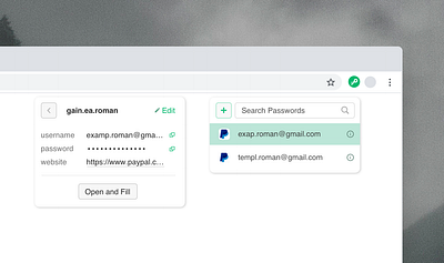 Password Manager