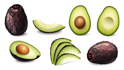 Avocado set avocado fruit illustration realistic vector vegetarian