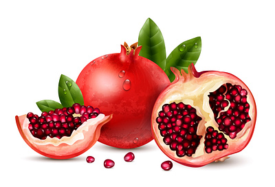 Pomegranate composition fruit illustration pomegranate realistic vector vitamin