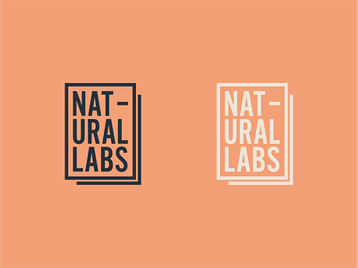 Natural Labs Branding branding clean clean branding clean logo design graphic design illustration logo logo design modern modern logo monogram mordern branding simple branding simple mark typography ui vector