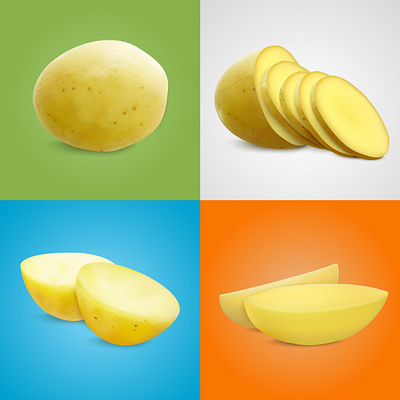 Potatoes compositions set culinary illustration potato realistic vector vegetable