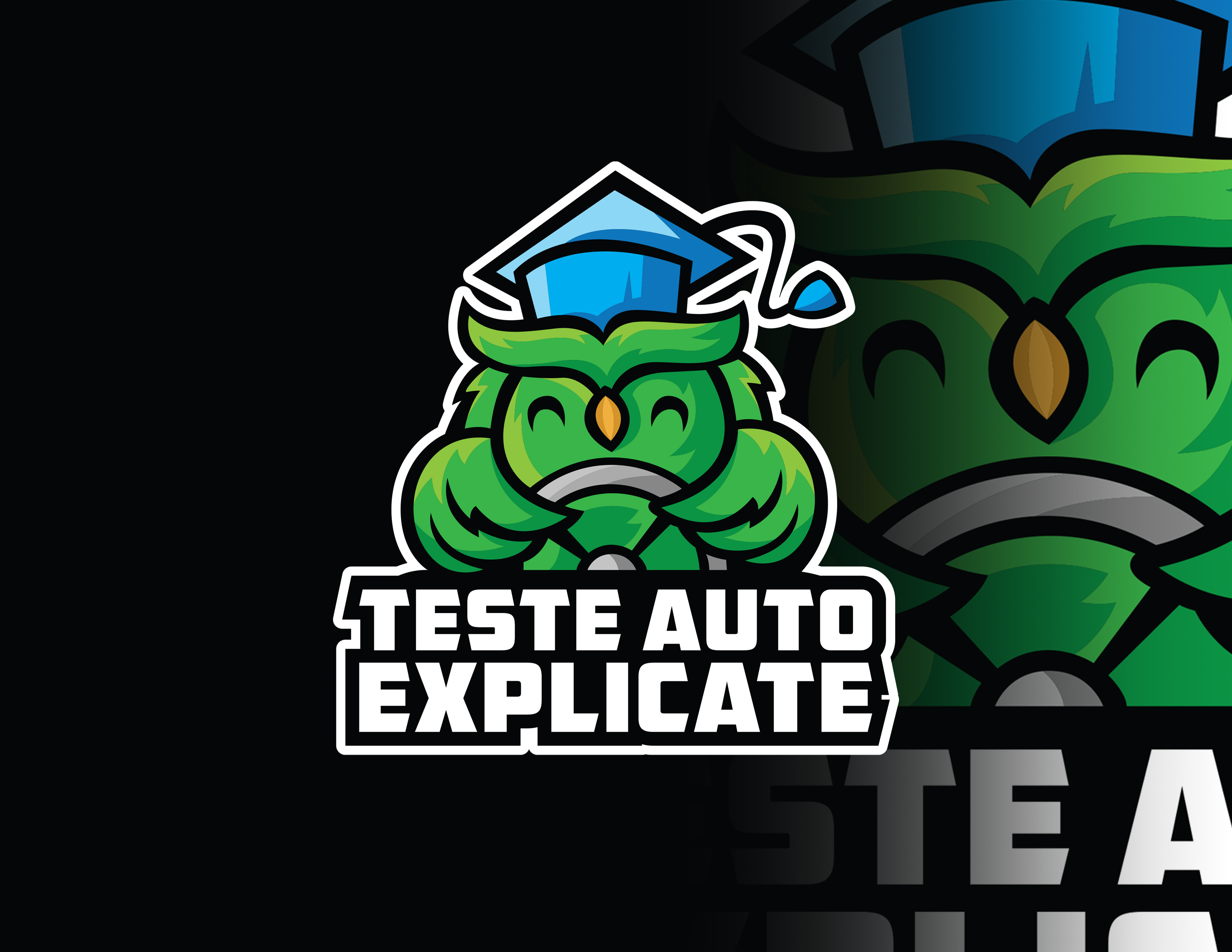 Example of Mascot Logo Design