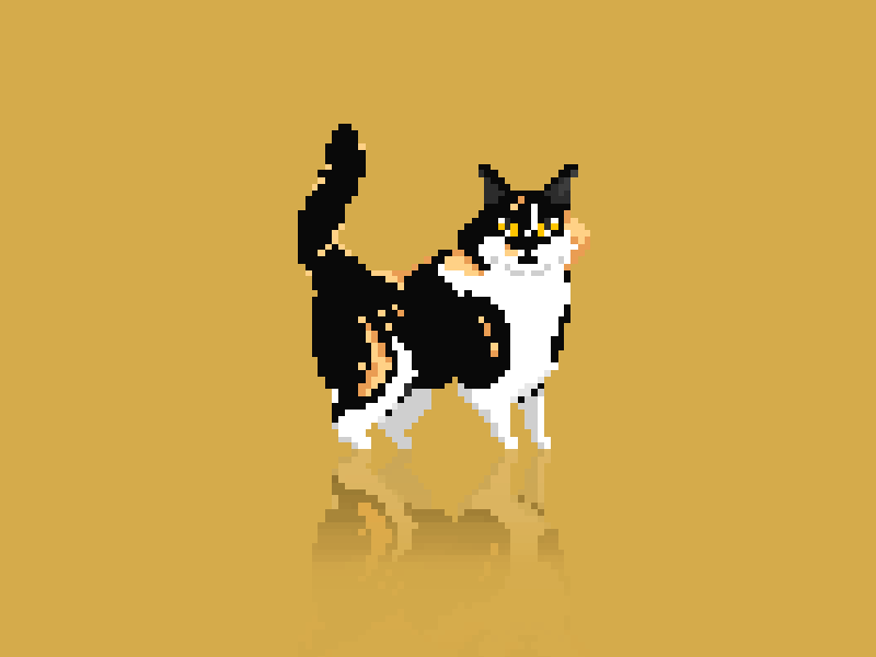 Michi 8bit 8bitart animation aseprite cat catart catlover cutecat motion graphics pixel pixelanimation pixelart pixelgif