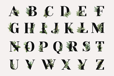 Alphabet Letter Typeface Set | Botanical Style a to z abc adobe alphabet botanical digital art font design graphic graphic design green illustrator kit nature photoshop psd set sticker typeface typography vector