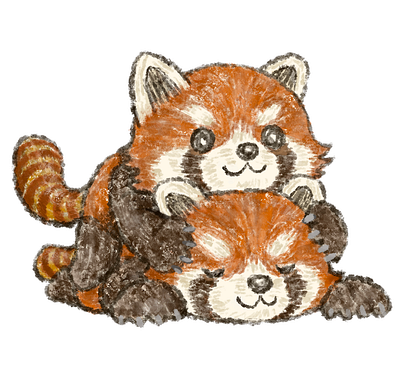 Overlapping red pandas animals illustration red panda