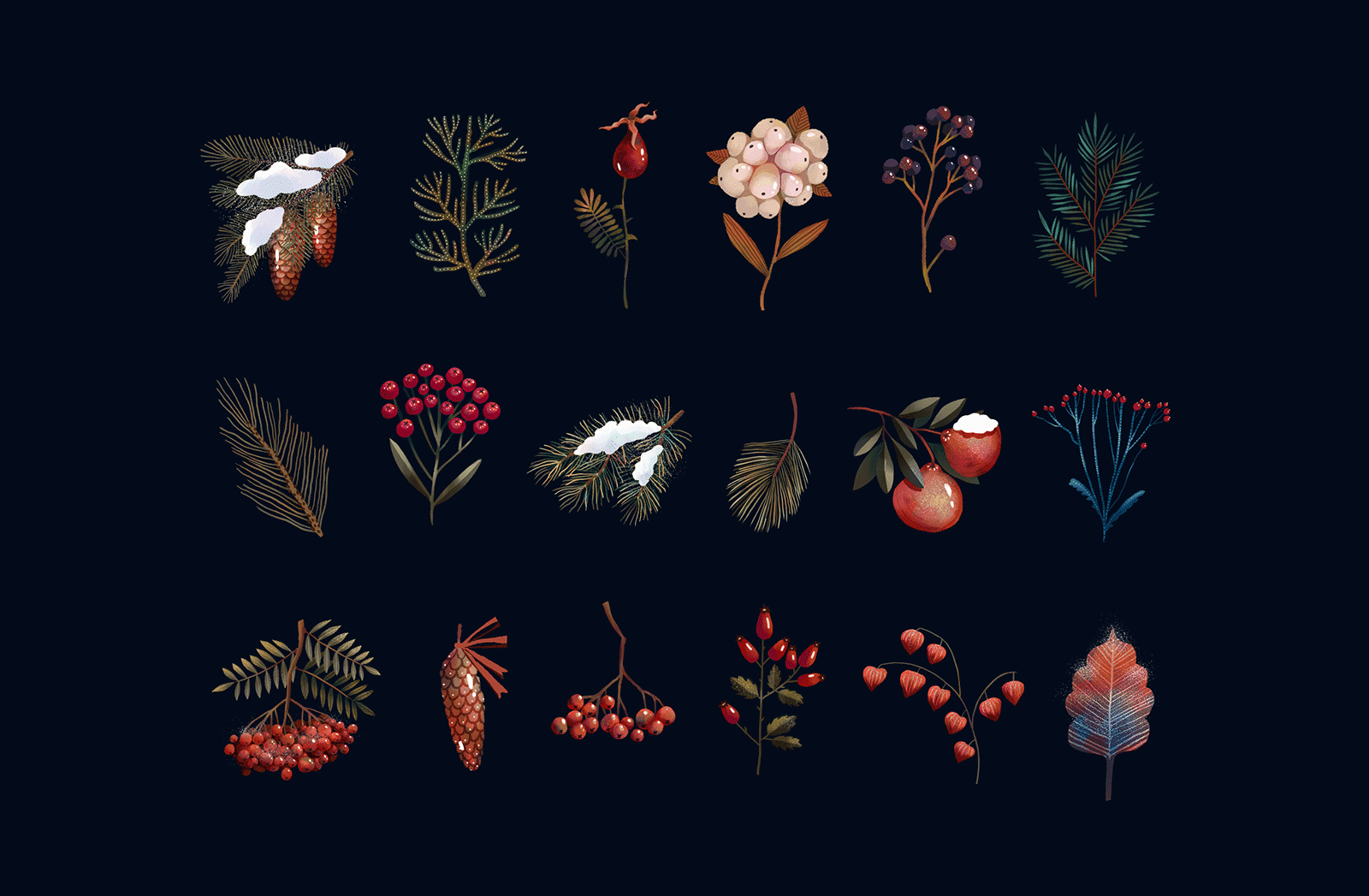 Flora animation berries fir flora flowers fruit illustration motion graphics orange spruce