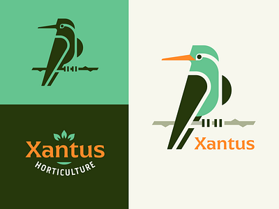 Brandimals pt. 23 - Xantus Bird animal badge bird botany branch brand identity feather fly geometric green horticulture illustration leaf leaves logo plant twig type wing x