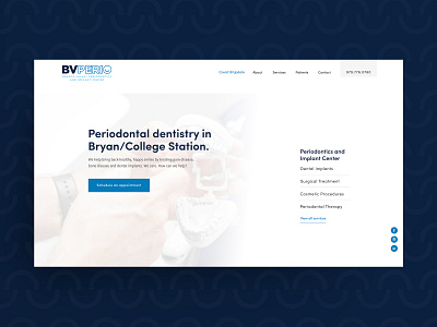 BV Perio Website branding dentistry design logo type ui website