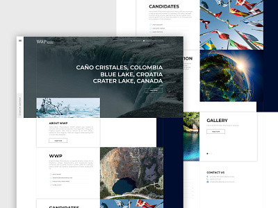 World Water Phenomenon branding design graphic design logo nature ocean typography ui ux water web design web development website