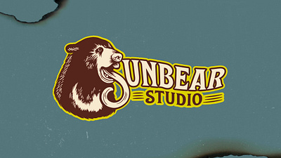 Sunbear Studio Branding branding design digital illustration graphic design illustration logo procreate vector