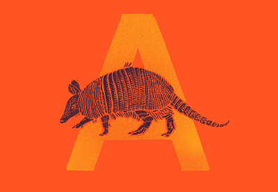 A is for armadilla 🤠 a alphabet armadillo armor illustration texture