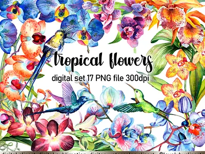 Tropical flowers birds of paradise png bouquet of flowers branding colorful flowers colorful flowers png design digital art digital watercolor flowers floral flower illustration flower illustration digital flowers hummingbird png illustration tropical flowers png watercolor birds watercolor clipart watercolor digital watercolor flowers watercolor png