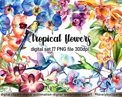 Tropical flowers birds of paradise png bouquet of flowers branding colorful flowers colorful flowers png design digital art digital watercolor flowers floral flower illustration flower illustration digital flowers hummingbird png illustration tropical flowers png watercolor birds watercolor clipart watercolor digital watercolor flowers watercolor png
