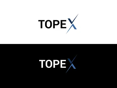 TOPEX logo design