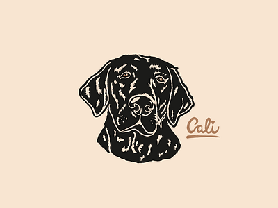 Dog illustration branding design dog graphic design illustration pet pet portrait portrait