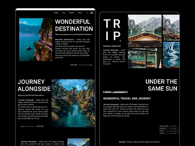 Wonderful Destination | WD II Last Summer animation branding design graphic design landing pages motion graphics ui web design
