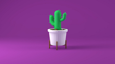 Cactus 3d c4d design icon illustration logo ui