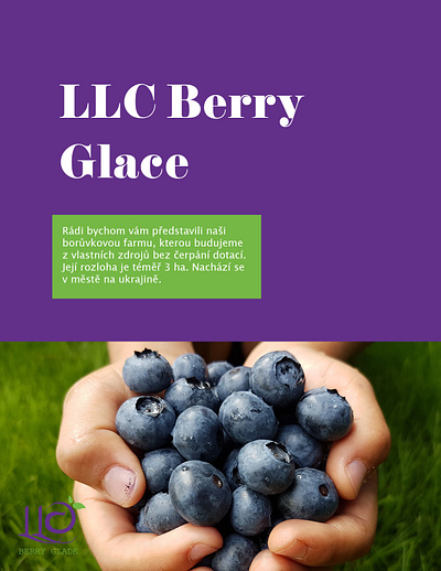 LLC Berry Glace - BRANDING branding design graphic design illustration logo