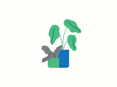 Indoor Plant art artwork design editorial illustration flora graphicdesign illustration indoor plant minimalist plant vector vector art