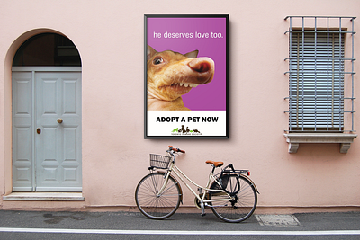Toronto Humane Society Poster design funny poster pet adoption poster poster design toronto humane society