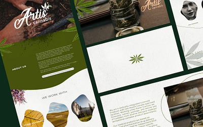 Artis Cannabis brand identity branding cannabis website design graphic design home page landing page ui uiux user experience design user interface design ux