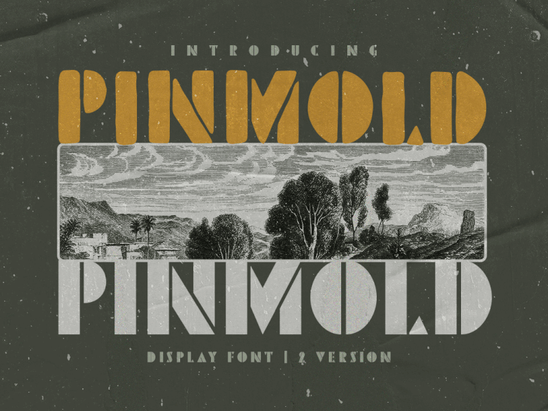 Pinmold - Modern Stencil Font distressed font freebies