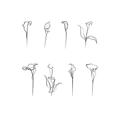 Calla lilies. beauty bloom botanical line art calla lilies design elements floral flowers garden invitation isolated line art logo minimalism objects one line art print set silhouette tattoo