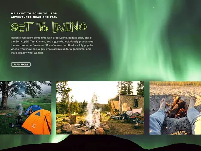 Bear & Fig project - Happy New UI Project - 3 camping design figma illustration illustrator landing page lettering lp outdoor design type ui web design