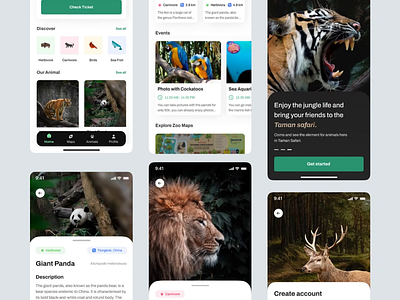 Safari Apps - Zoo Mobile Apps adventure animal animal app animation app clean cleandesign design earth minimalist mobile pets safari ui uidesign ux wildlife zoo zoo mobile