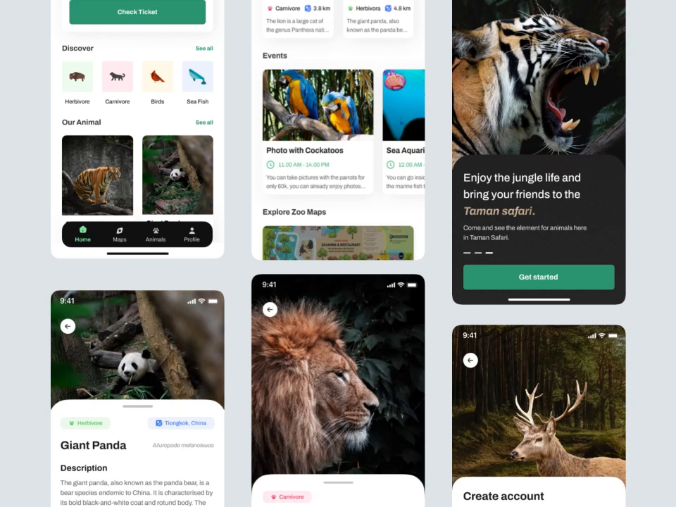 Safari Apps - Zoo Mobile Apps by Elux UI/UX for Elux Space on Dribbble