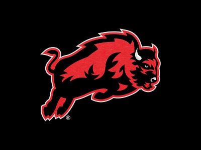 Bison Logo bison bison logo brand branding design football logos graphic design icon iconography illustration logo logo symbol sports branding symbol typography vector