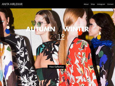 Anita Hirlekar branding design graphic design logo ui web design