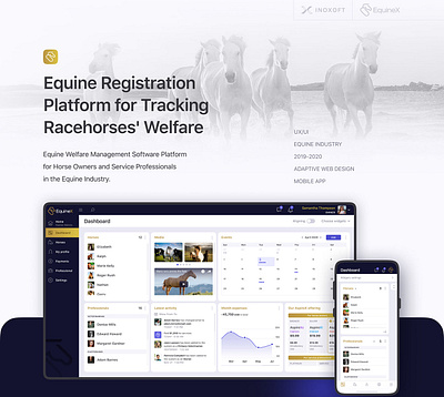 Equine Registration Platform for Tracking Racehorses' Welfare appdesign case study dashboard design inoxoft mobile app ui ui design ux ux design web design