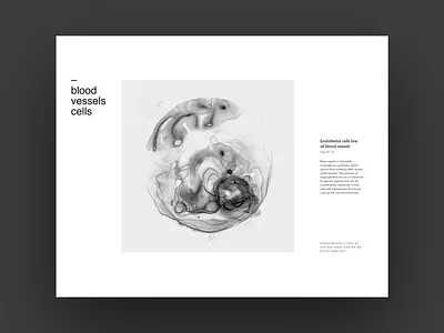 Inktober. Vessel. art design graphic design illustration ink minimalism typography ui ui design visual design