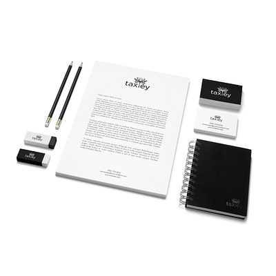 Taxley Brand Identity 3d animation brand identitiy branding design graphic design illustration logo motion graphics ui vector