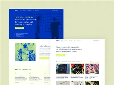 Stoica - Website Design branding graphic design logo ui uiux web design