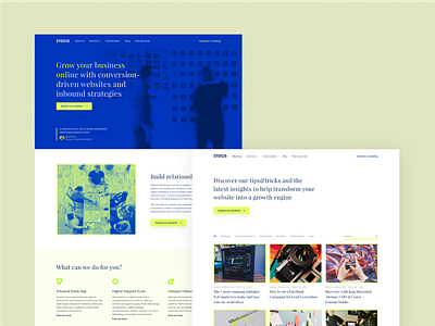 Stoica - Website Design branding graphic design logo ui uiux web design