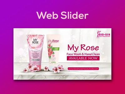 Website Slider Design banner design branding marketing slider web website webslider