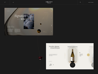 Wine Digital Experience — Animation animation app branding collection design experience graphic design photo ui ux wine