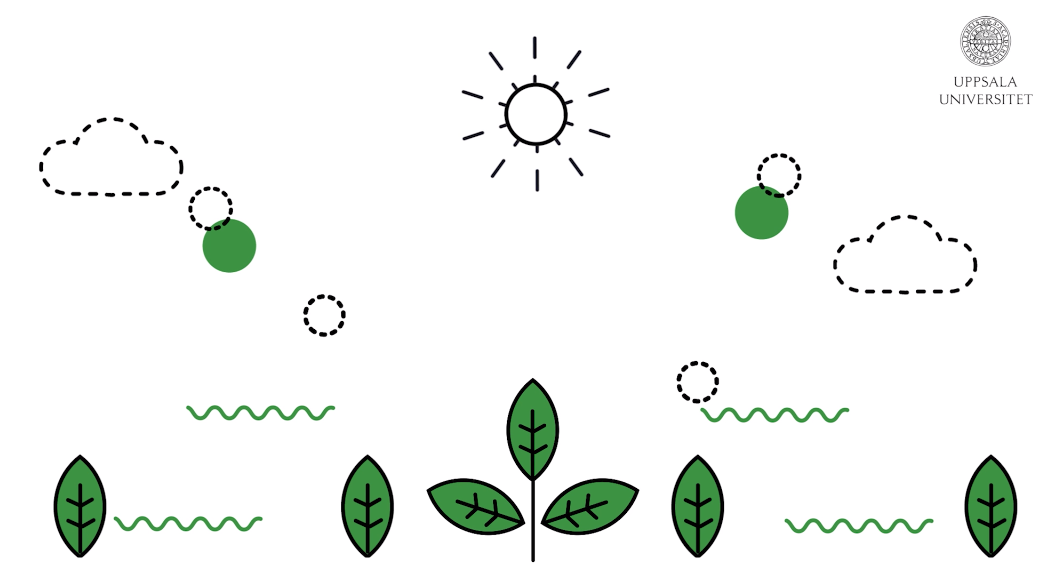 Animation from vector lines and icons 1 animation illustration motion graphics vec vector