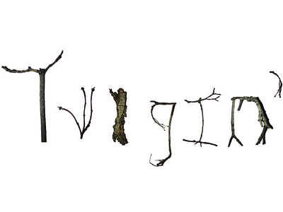Twigin' Found Font design graphic design photography photoshop typography