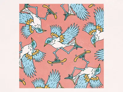 Skate or Fly bird character design handmade illustration skate skateboard texture