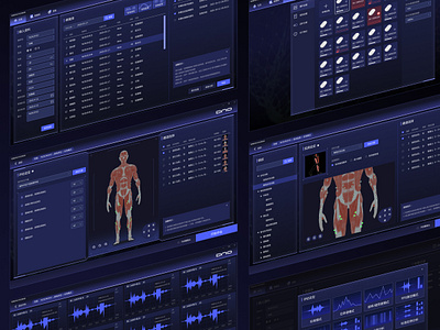 EMG Analysis System analysis emg pc system ui