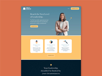 True North Website Design branding colorful consulting logo storybrand ui webdesign website woman