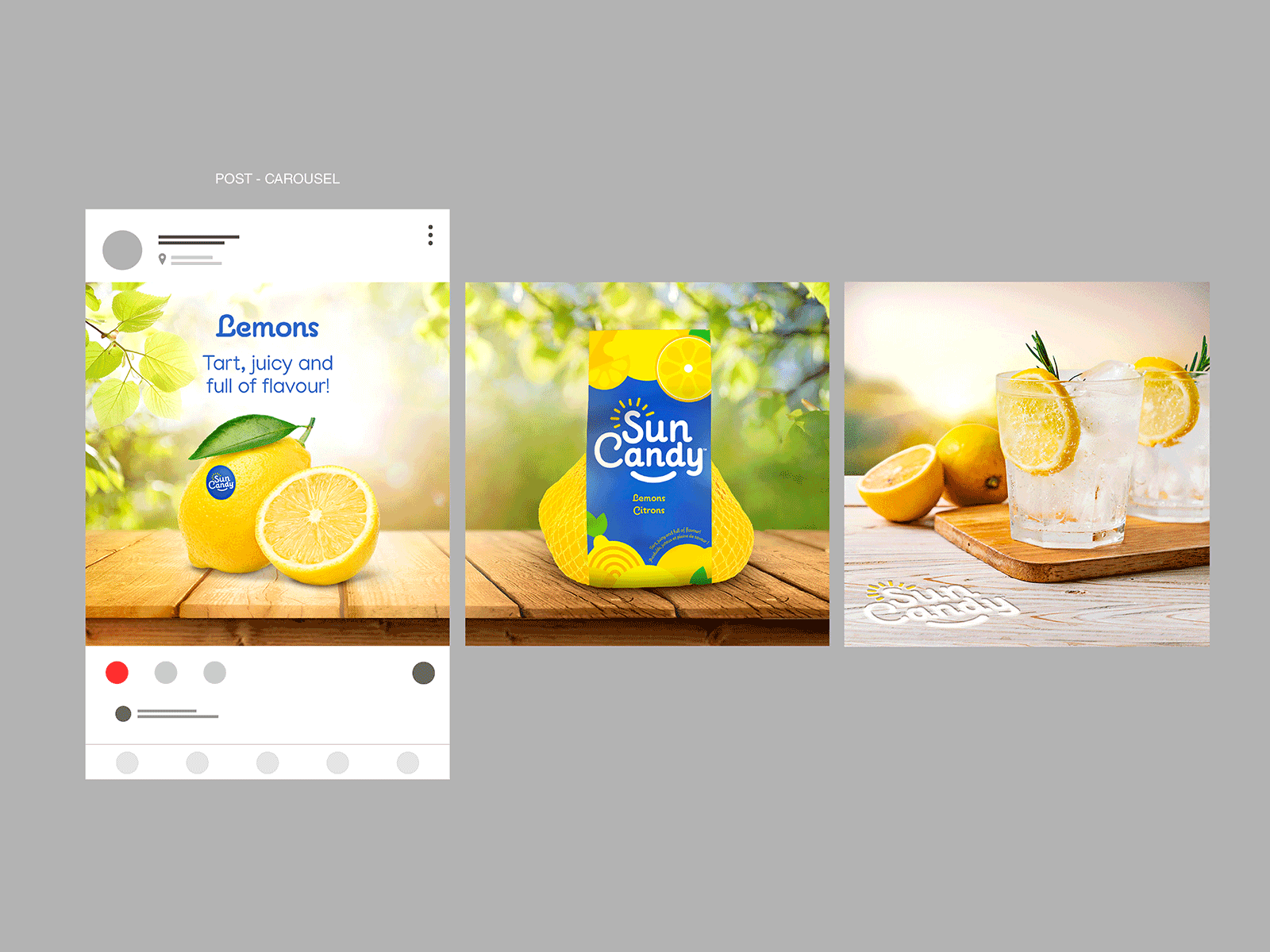Lemon Social Media Design food graphic design lemons social media design