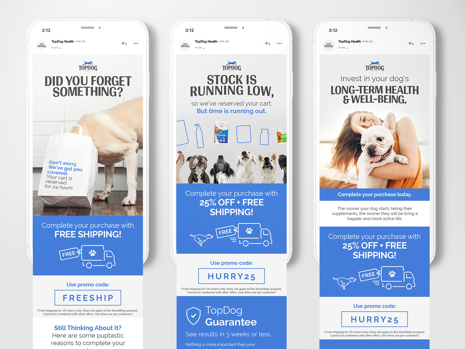 Dog Food Abandoned Cart Emails email graphic design mock up pets