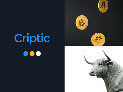 Criptic: Crypto App Branding