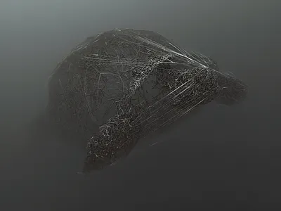 cirrus turtle 3d