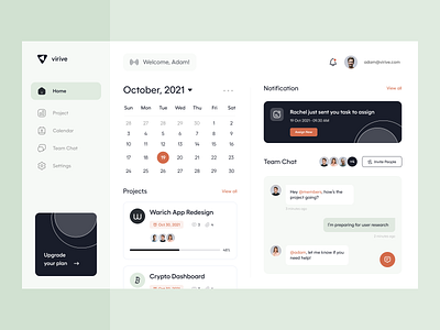 Virive: Project Management Dashboard app calendar clean collaboration dashboard management minimal overview platform project management project management tool task list task management team chat team management ui ui design user interface ux web