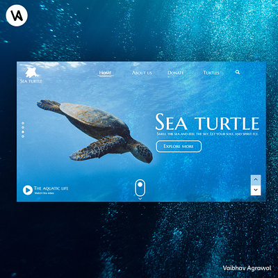 Sea Turtle animation branding graphic design logo ui